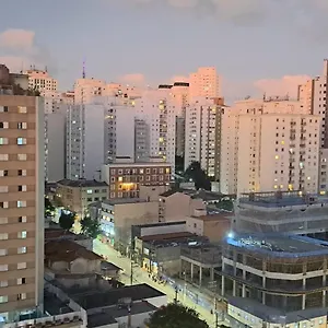 Tulipa São Paulo